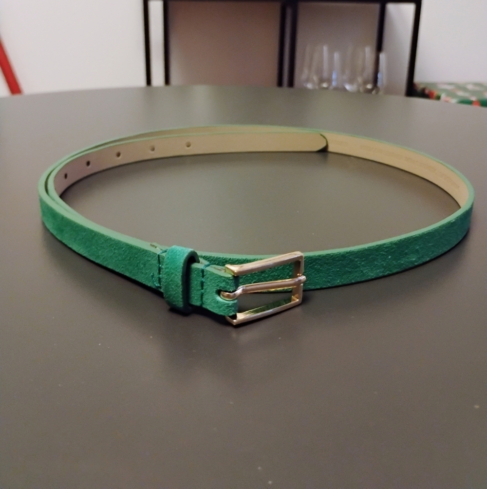 Ann Taylor Green Suede Skinny Belt with Gold Buckle